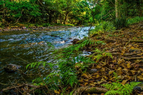 Cairns Homestead: A Peaceful Getaway - Accommodation Sunshine Coast 3