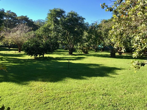 Camelot Cottages - Accommodation Sunshine Coast 2