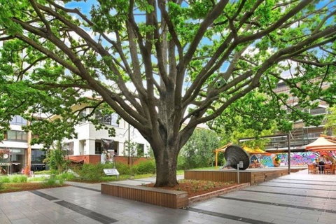 Canberra Luxury Apartment 8 - Accommodation Sunshine Coast 1