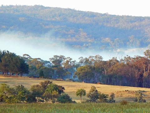 Candlebark Retreat - Accommodation Sunshine Coast 0