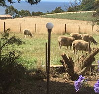 Cape View B and B - Accommodation Sunshine Coast