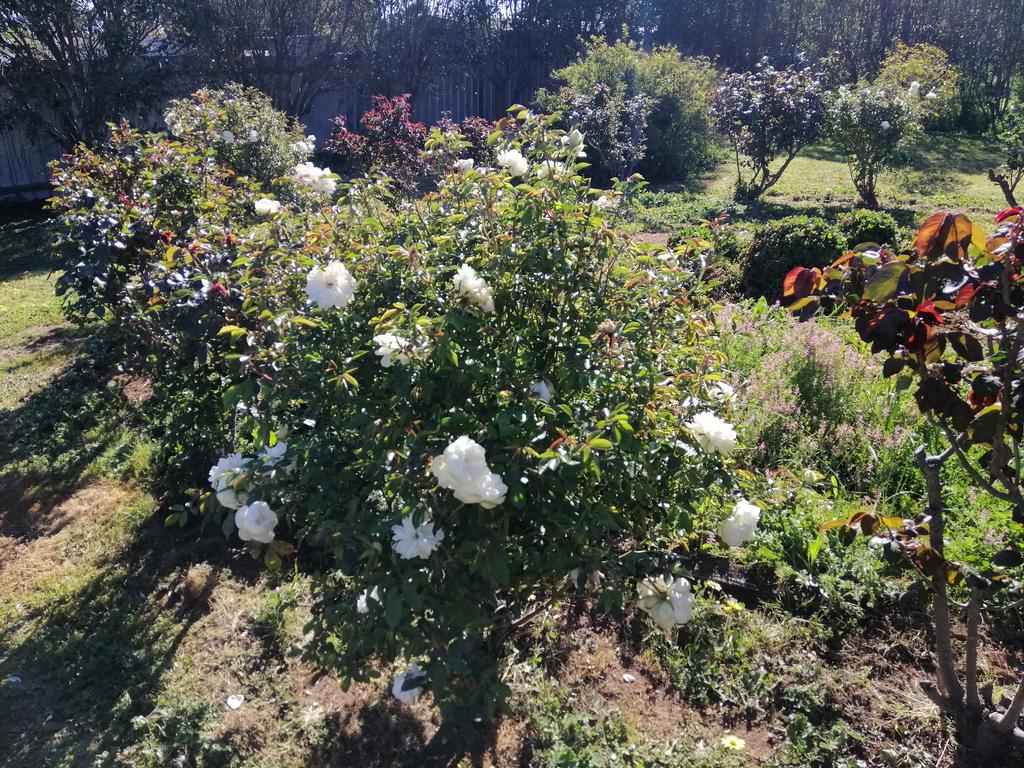 Carisbrook ACT Accommodation Sunshine Coast