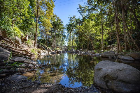 Cedar Creek Lodges - Accommodation Sunshine Coast 0