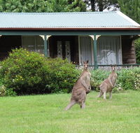 Cedar Lodge Cabins - Accommodation Sunshine Coast
