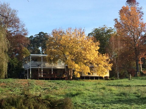 Chestnut Brae Farmstay - Accommodation Sunshine Coast 0