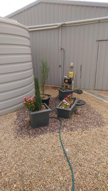 Chrissie's Dongara - Accommodation Sunshine Coast 2