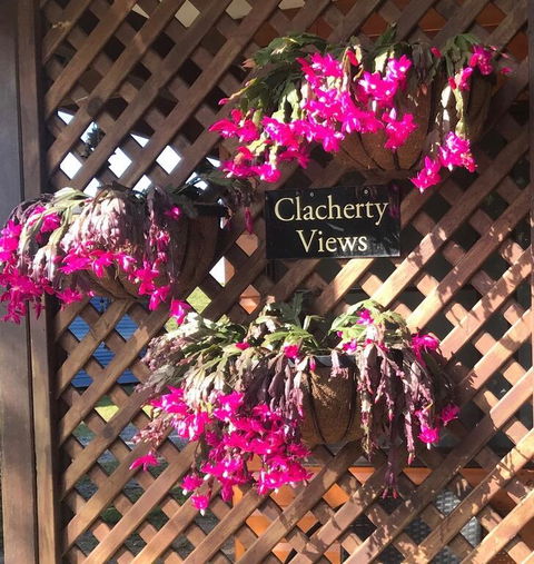 Clacherty Views - Accommodation Sunshine Coast 3