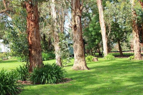 Clarendon Chalets - Accommodation Sunshine Coast 1