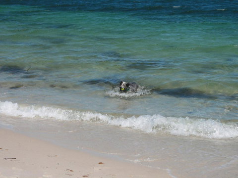 Close To The Myall River - Pet Welcome - Accommodation Sunshine Coast 3