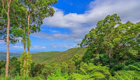 CLOUD 9 - Cliff Top Eagle Heights - Accommodation Sunshine Coast 3