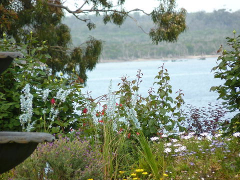 Clovelly Cottage - Accommodation Sunshine Coast 3