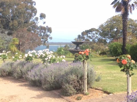 Clovelly Cottage - Accommodation Sunshine Coast 1