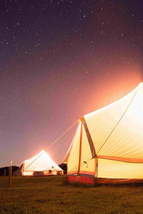 Coonawarra Bush Holiday Park - Accommodation Sunshine Coast 3