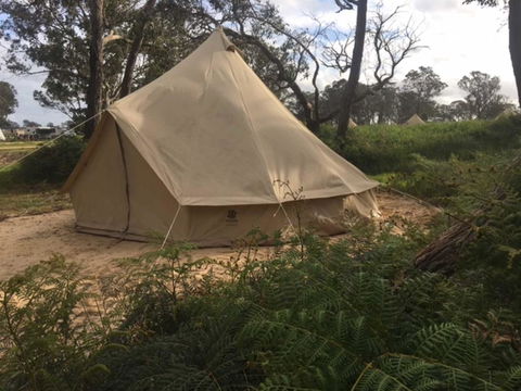 Coonawarra Bush Holiday Park - Accommodation Sunshine Coast 2