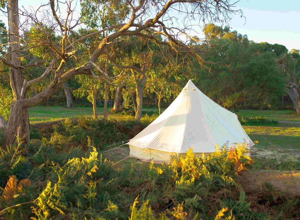 Comaum SA Accommodation Sunshine Coast