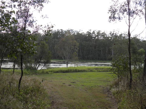 Coucals Cottage - Accommodation Sunshine Coast 2