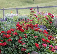 Country Mile Escape - Accommodation Sunshine Coast