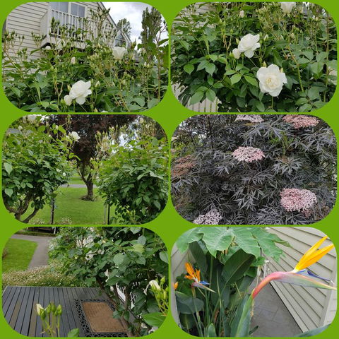 Creek Cottage Bed And Breakfast - Accommodation Sunshine Coast 3