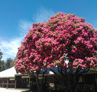 Crossways Country Inn - Accommodation Sunshine Coast