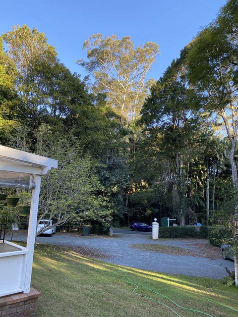 Curtis Falls Studio-Apartment - Accommodation Sunshine Coast 3