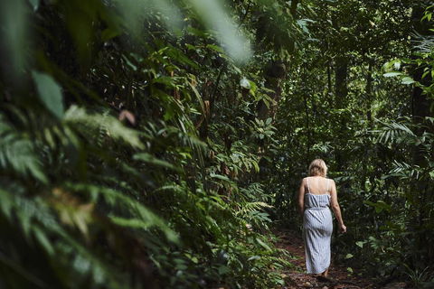 Daintree Ecolodge - Accommodation Sunshine Coast 2