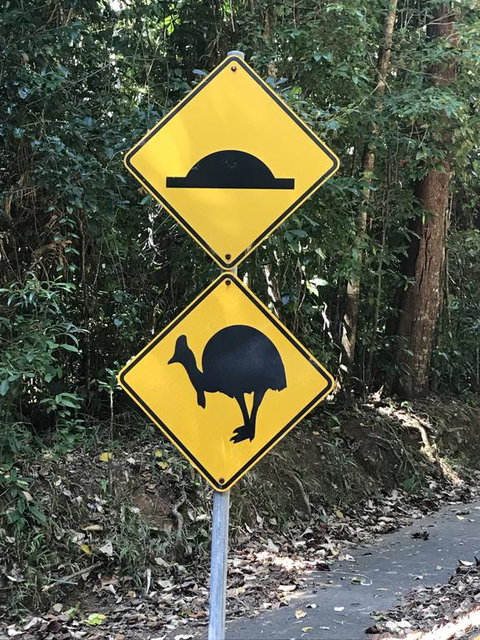 Daintree Magic - Accommodation Sunshine Coast 1