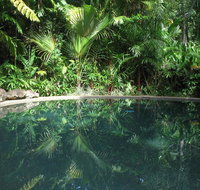 Daintree Rainforest Retreat Motel - Accommodation Sunshine Coast