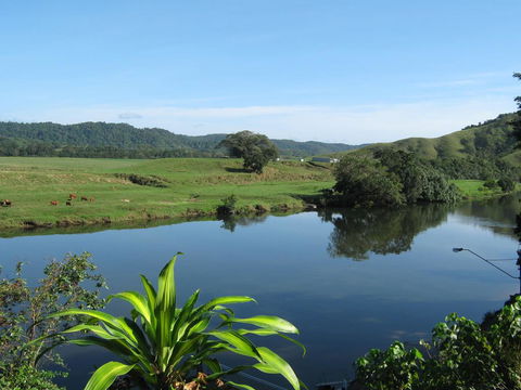 Daintree Riverview Lodges - Accommodation Sunshine Coast 0