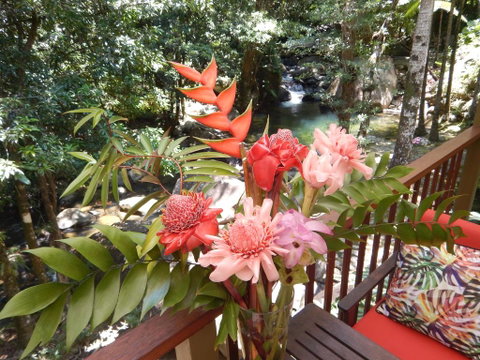 Daintree Secrets Rainforest Sanctuary - Accommodation Sunshine Coast 1