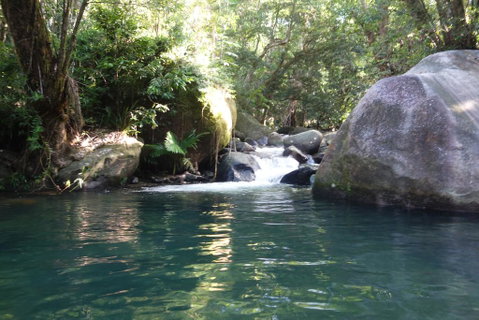 Daintree Secrets Rainforest Sanctuary - Accommodation Sunshine Coast 0
