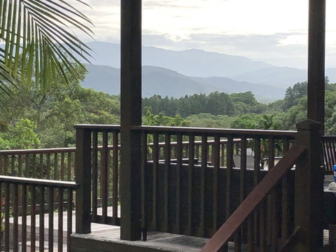 Daintree Valley Cottage - Accommodation Sunshine Coast 1