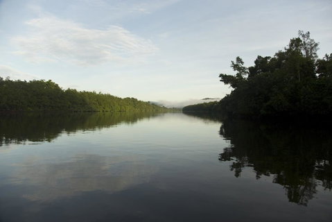 Daintree Village Hideaway - Accommodation Sunshine Coast 2