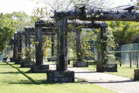 Daintree Wild Bed & Breakfast - Accommodation Sunshine Coast 2