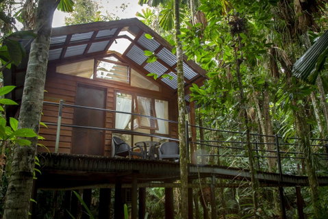 Daintree Wilderness Lodge - Accommodation Sunshine Coast 2