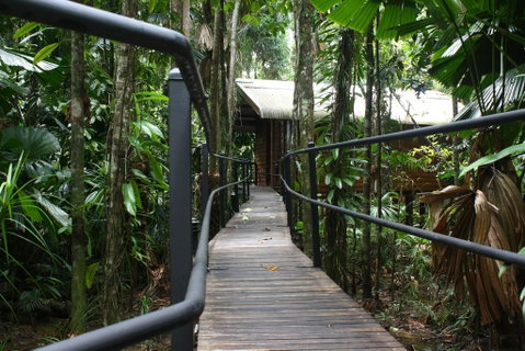 Daintree Wilderness Lodge - Accommodation Sunshine Coast 0