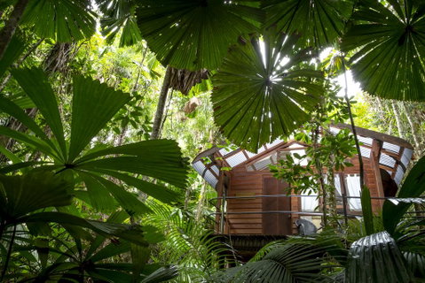 Daintree Wilderness Lodge - Accommodation Sunshine Coast 1