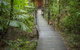 Daintree Wilderness Lodge - thumb 3