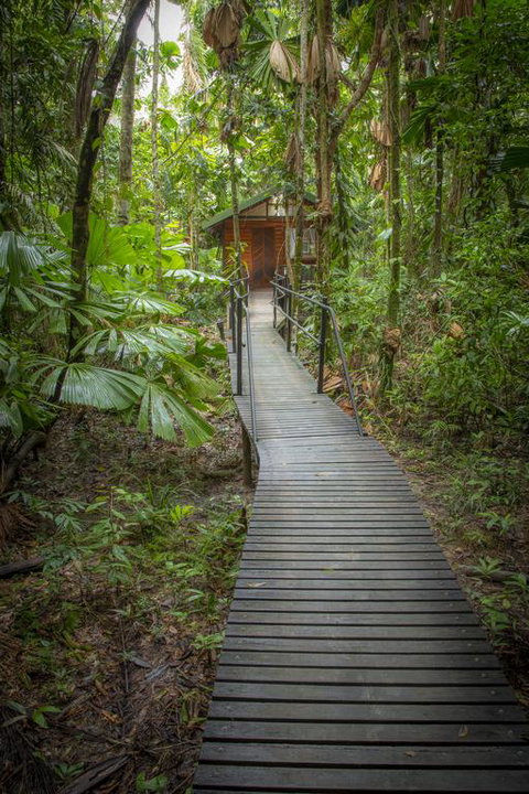 Daintree Wilderness Lodge - Accommodation Sunshine Coast 3