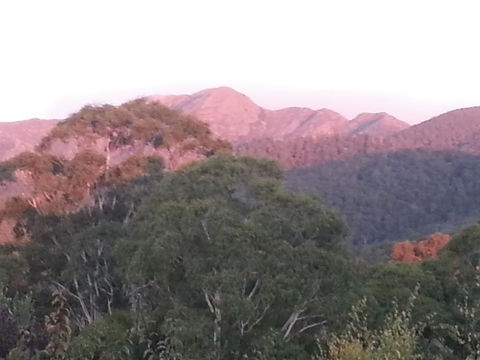 Day Dream Cottage - Accommodation Sunshine Coast 2