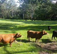 Dingley Dell - Accommodation Sunshine Coast
