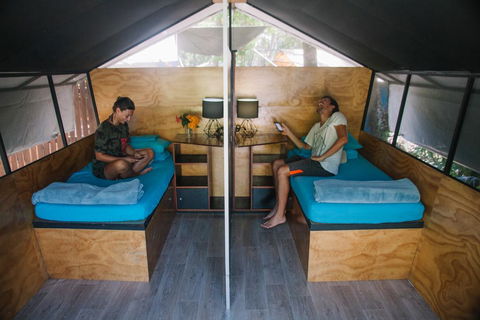 Dougies Backpackers Resort - Accommodation Sunshine Coast 3