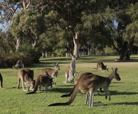 Eastern Hill Creswick - Accommodation Sunshine Coast 1
