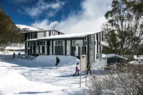 Elk At Falls - Accommodation Sunshine Coast 0