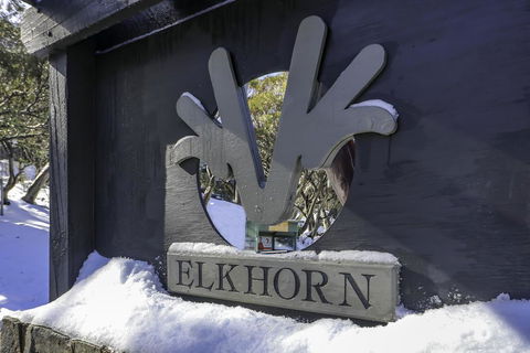Elkhorn 11 - Accommodation Sunshine Coast 2