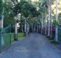 Emerald Tropical Palms B  B - Accommodation Sunshine Coast