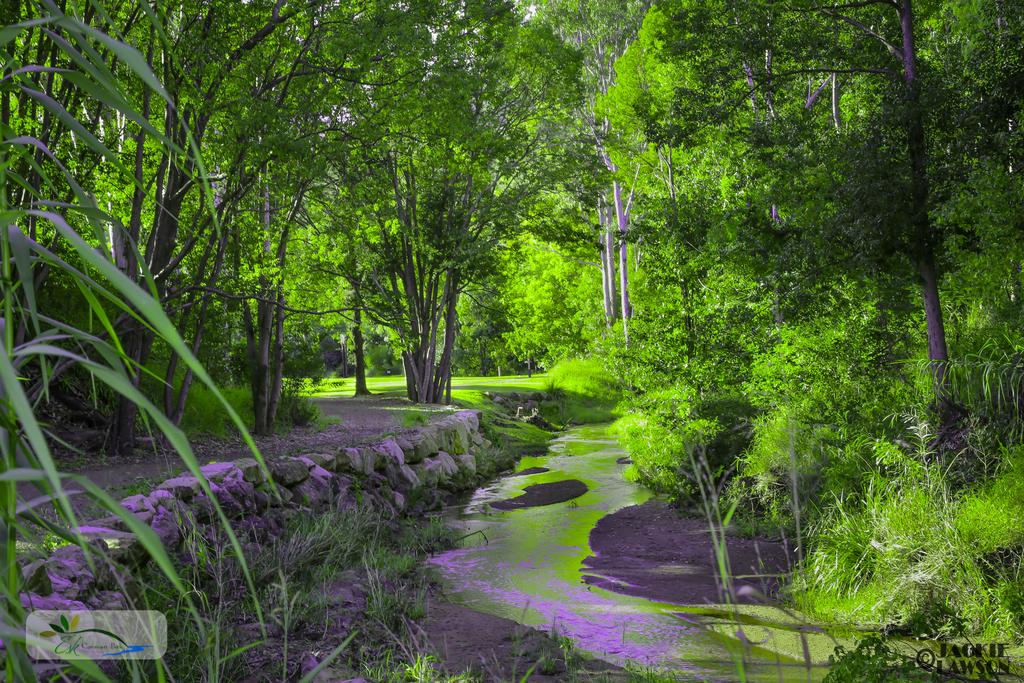 Esk QLD Accommodation Sunshine Coast