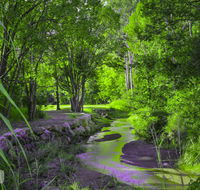 Esk Caravan Park  Rail Trail Motel - Accommodation Sunshine Coast