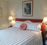 Every Man and His Dog Vineyard - Accommodation Sunshine Coast