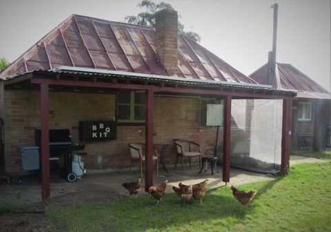Fernbrook Cottage - Accommodation Sunshine Coast 0