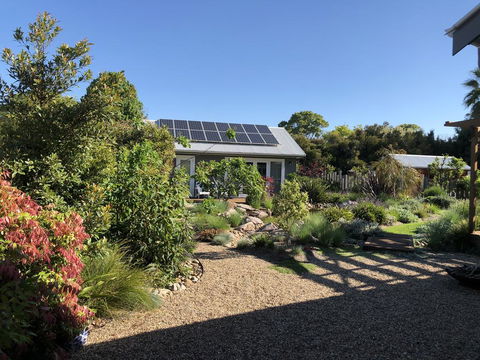 Fig Tree Cottage - Accommodation Sunshine Coast 1
